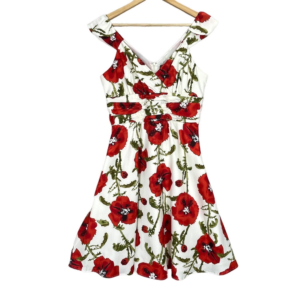 Chadwicks Collection Red Floral Poppies Fit and Flare Dress Size 8